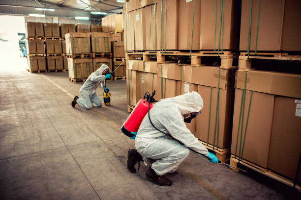 Best Best Pest Control Companies  in La Salle, CO