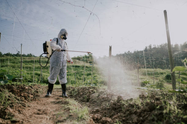 Best Pest Prevention Services  in La Salle, CO