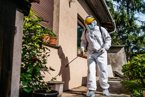 Best Local Pest Control Services  in La Salle, CO