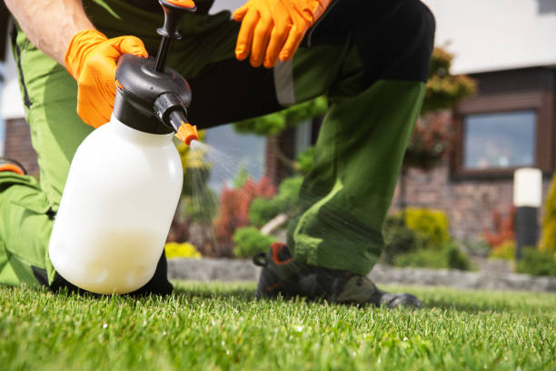 Best Best Pest Control Companies  in La Salle, CO