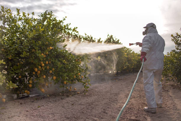 Best Rodent Control Near Me  in La Salle, CO