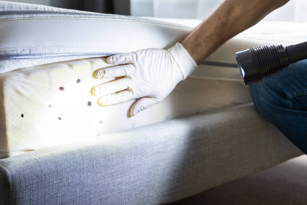 Pest Control for Restaurants in La Salle, CO