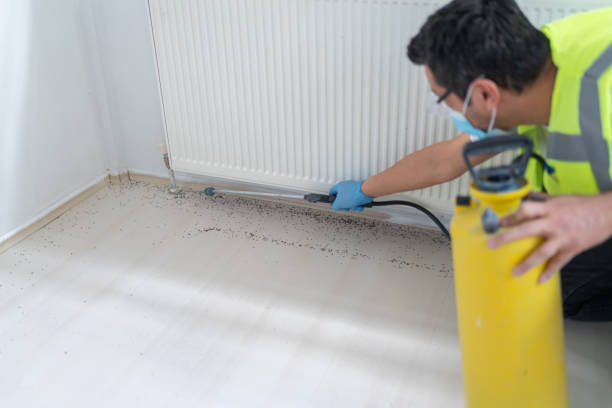 Best Bed Bug Extermination  in La Salle, CO