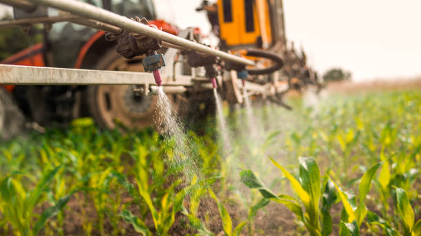 Best Best Pest Control Companies  in La Salle, CO