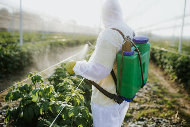 Best Emergency Pest Control  in La Salle, CO